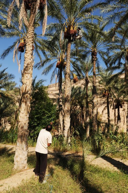 Dar Zargouni Hotel Nefta Luaran gambar